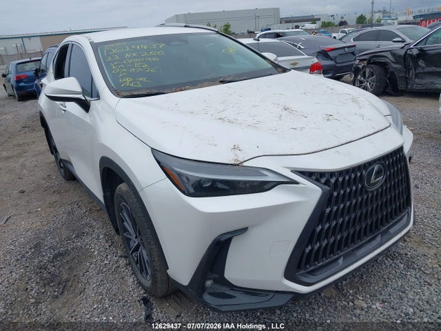 Продажа на аукционе авто 2022 Lexus Nx 250, vin: 2T2ADCEZ5NC001090, номер лота: 12629437
