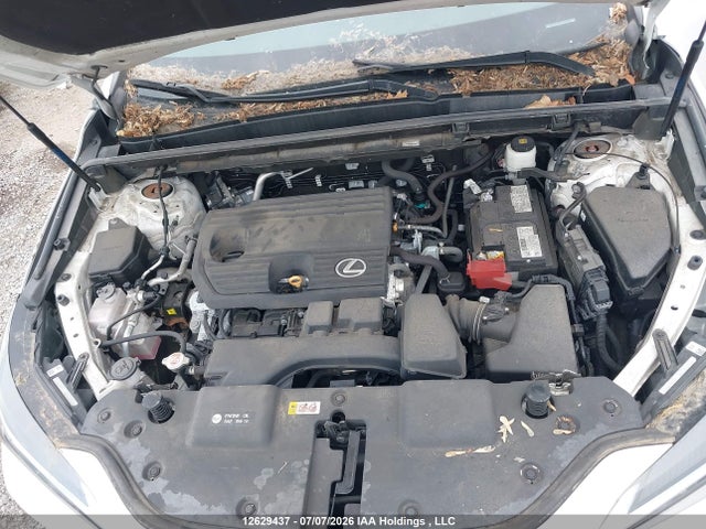 Aukcja sprzedaży 2022 Lexus Nx 250, vin: 2T2ADCEZ5NC001090, numer aukcji: 12629437