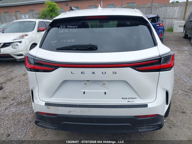 Aukcja sprzedaży 2022 Lexus Nx 250, vin: 2T2ADCEZ5NC001090, numer aukcji: 12629437