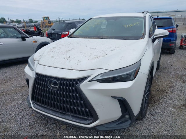 Aukcja sprzedaży 2022 Lexus Nx 250, vin: 2T2ADCEZ5NC001090, numer aukcji: 12629437