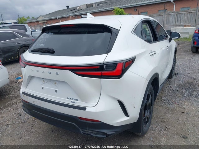 Aukcja sprzedaży 2022 Lexus Nx 250, vin: 2T2ADCEZ5NC001090, numer aukcji: 12629437