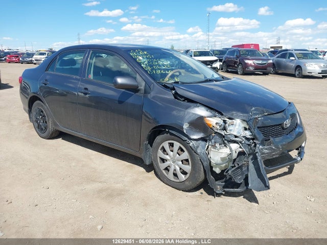 12629451 :رقم المزاد ، 2T1BU40E29C003646 vin ، 2009 Toyota Corolla S/le/xle مزاد بيع