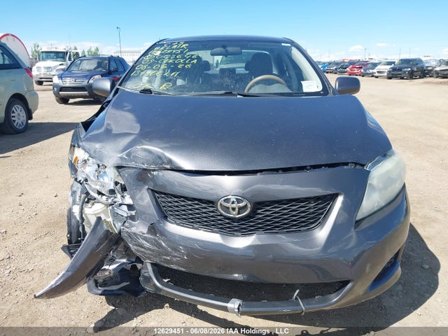 2009 Toyota Corolla S/le/xle მანქანა იყიდება აუქციონზე, vin: 2T1BU40E29C003646, აუქციონის ნომერი: 12629451