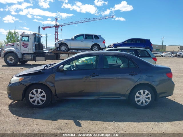 2009 Toyota Corolla S/le/xle მანქანა იყიდება აუქციონზე, vin: 2T1BU40E29C003646, აუქციონის ნომერი: 12629451
