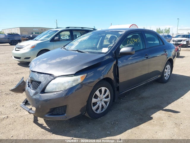2009 Toyota Corolla S/le/xle მანქანა იყიდება აუქციონზე, vin: 2T1BU40E29C003646, აუქციონის ნომერი: 12629451