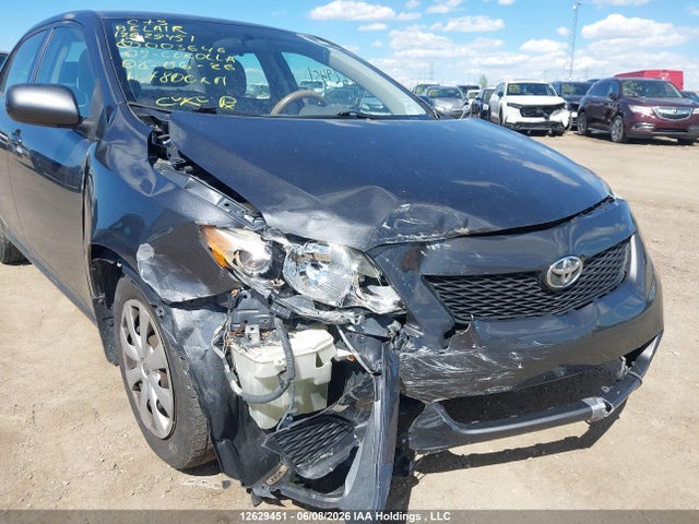2009 Toyota Corolla S/le/xle მანქანა იყიდება აუქციონზე, vin: 2T1BU40E29C003646, აუქციონის ნომერი: 12629451