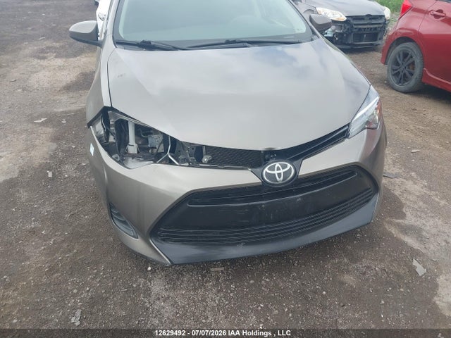 2019 Toyota Corolla L/le/xle/se/xse მანქანა იყიდება აუქციონზე, vin: 2T1BURHE1KC195696, აუქციონის ნომერი: 12629492