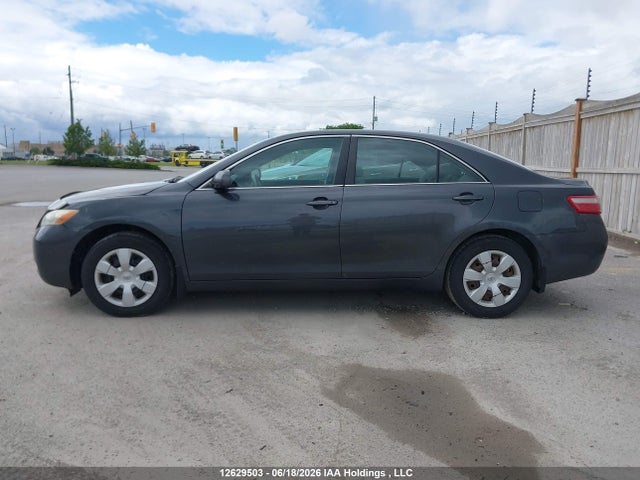 2009 Toyota Camry Se/le/xle მანქანა იყიდება აუქციონზე, vin: 4T1BE46K69U825729, აუქციონის ნომერი: 12629503