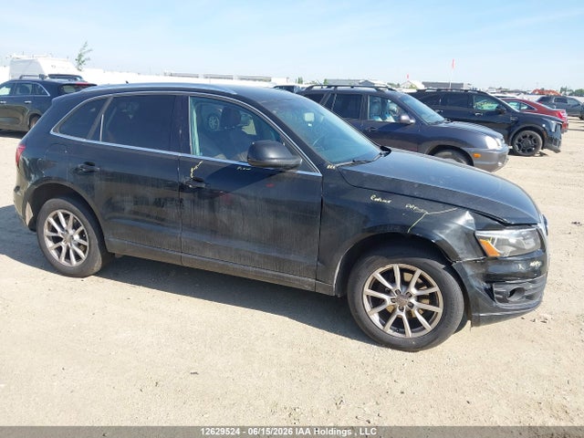 Auction sale of the 2011 Audi Q5 2.0t Premium Plus, vin: WA1VFCFP2BA010448, lot number: 12629524