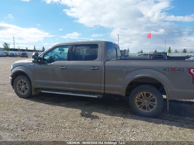 12629536 :رقم المزاد ، 1FTFW1E44KFC67734 vin ، 2019 Ford F150 Supercrew مزاد بيع