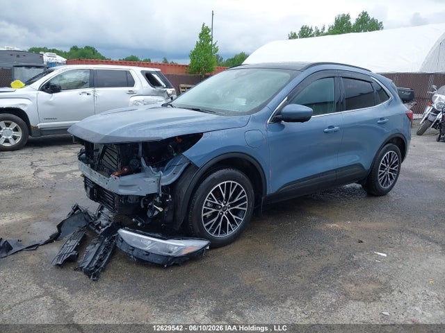 1FMCU0E11SUA76479 Ford Escape Phev