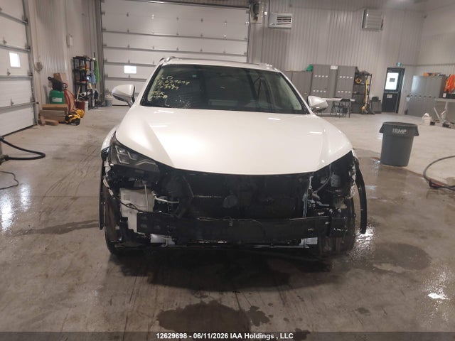 Продажа на аукционе авто 2019 Lexus Nx 300h, vin: JTJBJRBZ3K2103939, номер лота: 12629698