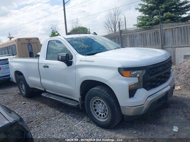 12629789 :رقم المزاد ، 3GCNDAED5PG123861 vin ، 2023 Chevrolet Silverado K1500 مزاد بيع