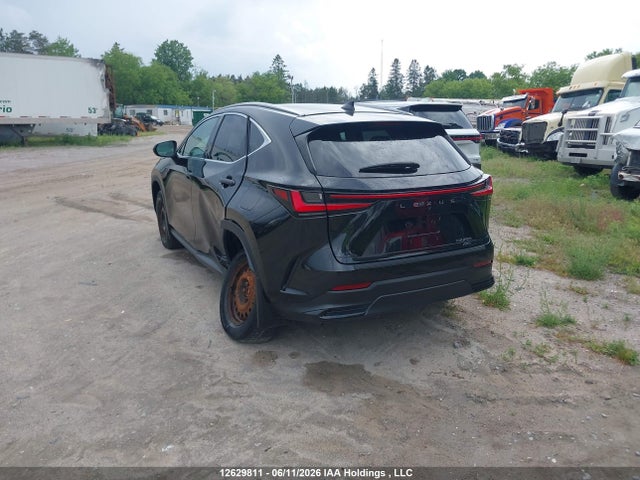Lexus NX 250 2024 2T2ADCEZ0RC004985 Image 3