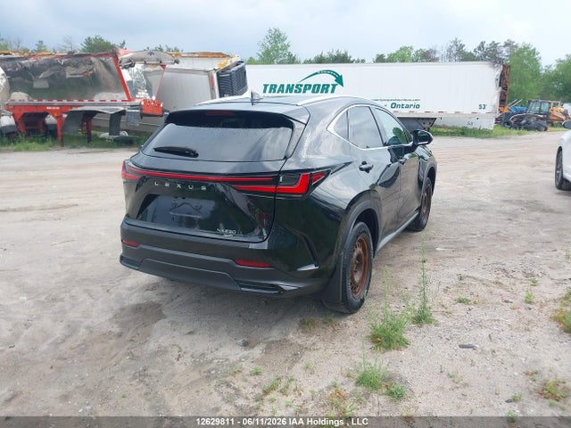 Lexus NX 250 2024 2T2ADCEZ0RC004985 Image 4