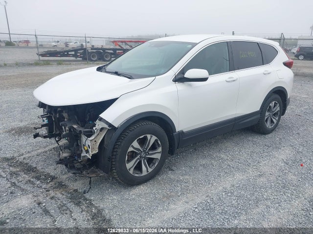 Продажа на аукционе авто 2020 Honda Cr-v Lx, vin: 2HKRW1H23LH002530, номер лота: 12629833