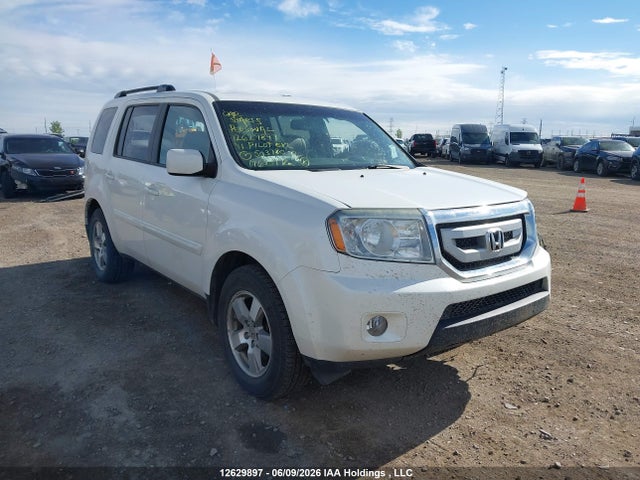 2011 Honda Pilot Exl მანქანა იყიდება აუქციონზე, vin: 5FNYF4H55BB503780, აუქციონის ნომერი: 12629897