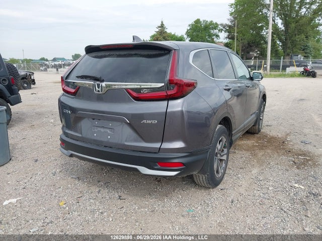 Honda CR-V LX 2020 2HKRW2H22LH208668 Image 4