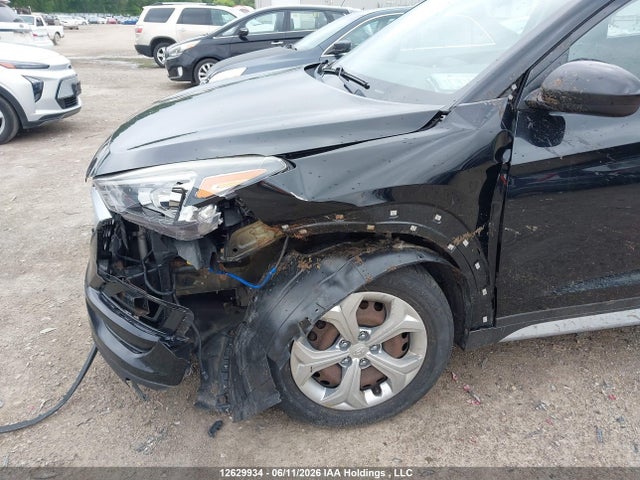 Hyundai TUCSON SE 2019 KM8J23A43KU021711 Image 12