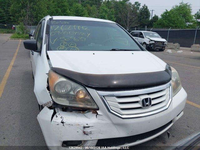 12629942 :رقم المزاد ، 5FNRL38289B504039 vin ، 2009 Honda Odyssey مزاد بيع