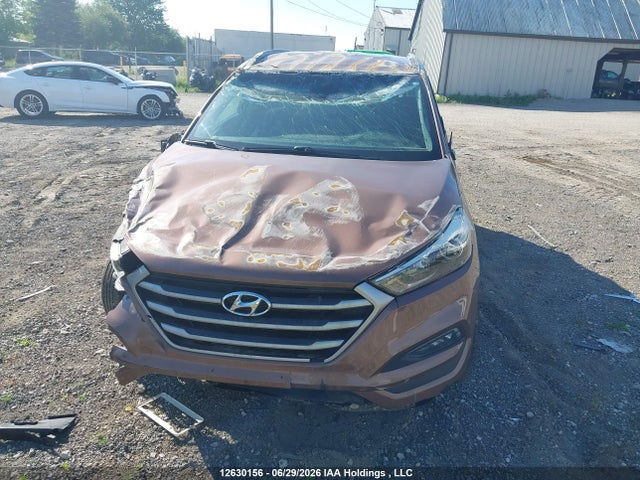 Hyundai Tucson 2017 KM8J33A46HU582054 Image 6