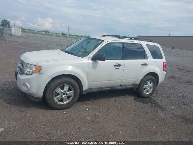 Продаж на аукціоні авто 2011 Ford Escape Xlt Automatic, vin: 1FMCU0DGXBKA76613, номер лоту: 12630165