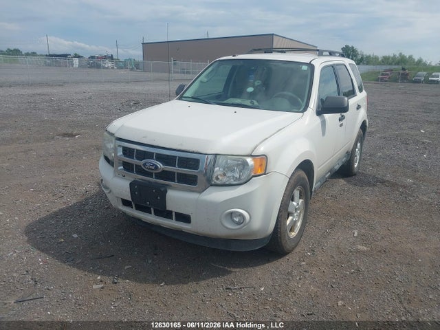 Продаж на аукціоні авто 2011 Ford Escape Xlt Automatic, vin: 1FMCU0DGXBKA76613, номер лоту: 12630165