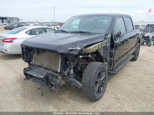 2023 Ford F-150 Lariat მანქანა იყიდება აუქციონზე, vin: 1FTFW1E82PKE87231, აუქციონის ნომერი: 12630204