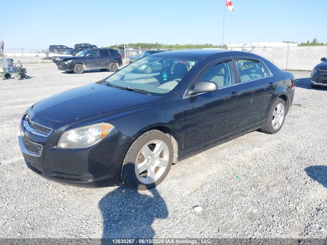 Продаж на аукціоні авто 2011 Chevrolet Malibu Ls, vin: 1G1ZB5EU5BF133727, номер лоту: 12630267