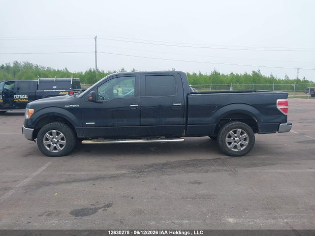 Продаж на аукціоні авто 2014 Ford F-150 Xlt, vin: 1FTFW1ETXEFB20345, номер лоту: 12630278