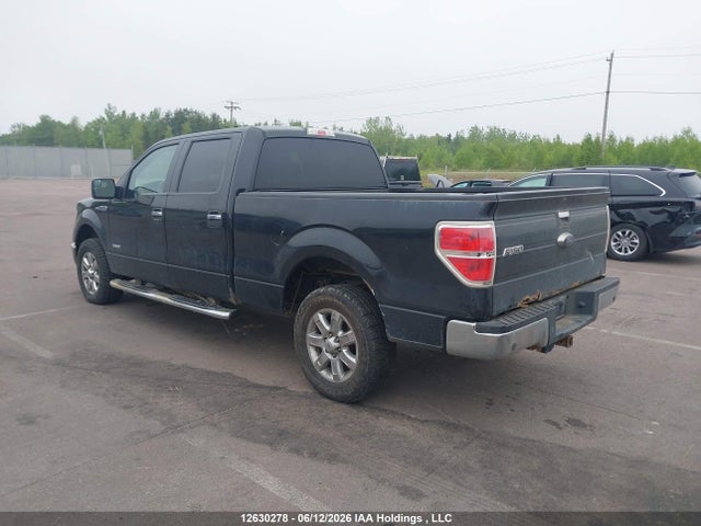 Продаж на аукціоні авто 2014 Ford F-150 Xlt, vin: 1FTFW1ETXEFB20345, номер лоту: 12630278