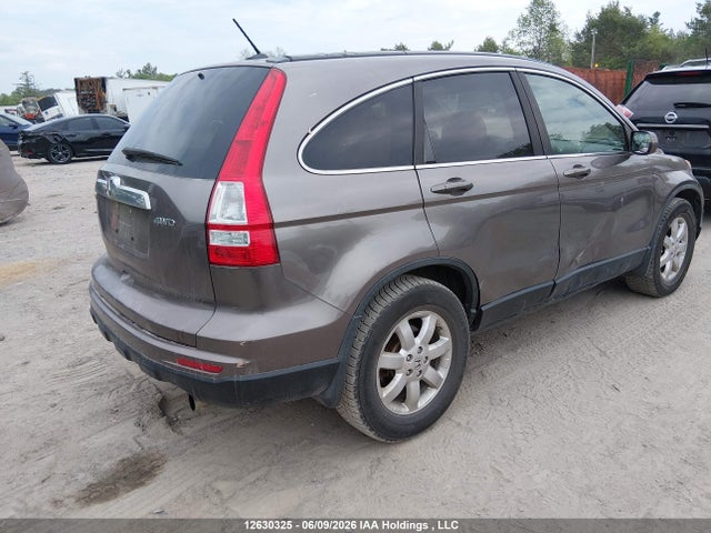 Aukcja sprzedaży 2011 Honda Cr-v, vin: 5J6RE4H71BL818009, numer aukcji: 12630325
