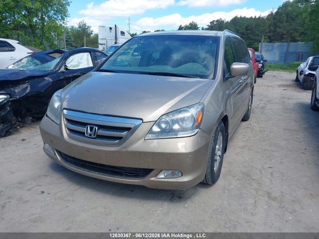 12630367 :رقم المزاد ، 5FNRL38846B512560 vin ، 2006 Honda Odyssey مزاد بيع