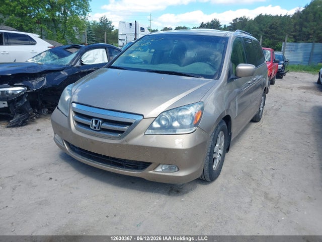 12630367 :رقم المزاد ، 5FNRL38846B512560 vin ، 2006 Honda Odyssey مزاد بيع