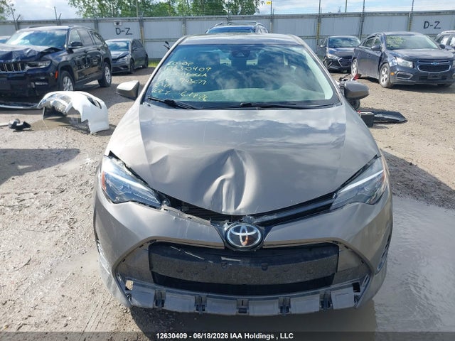 12630409 :رقم المزاد ، 2T1BURHEXHC943077 vin ، 2017 Toyota Corolla L/le/xle/se/xse مزاد بيع