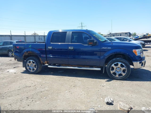 Продаж на аукціоні авто 2011 Ford F-150 Xlt, vin: 1FTFW1EF4BFA21641, номер лоту: 12618374