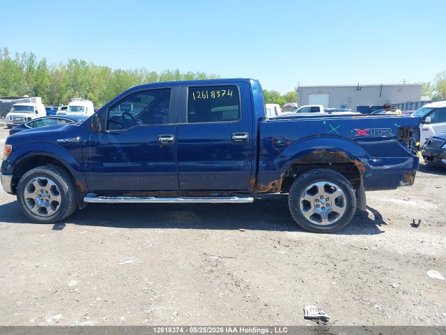 Продаж на аукціоні авто 2011 Ford F-150 Xlt, vin: 1FTFW1EF4BFA21641, номер лоту: 12618374