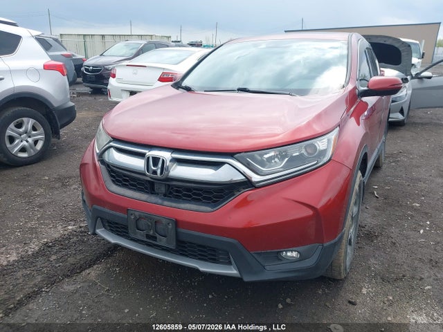 Aukcja sprzedaży 2019 Honda Cr-v Ex-l, vin: 2HKRW2H81KH130192, numer aukcji: 12605859