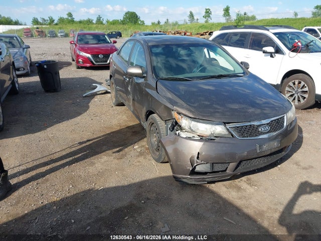 Aukcja sprzedaży 2013 Kia Forte 2.0l Ex/ex, vin: KNAFU4A20D5652533, numer aukcji: 12630543