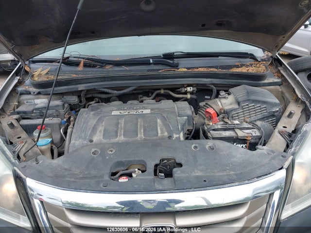 2008 Honda Odyssey მანქანა იყიდება აუქციონზე, vin: 5FNRL38788B509929, აუქციონის ნომერი: 12630606
