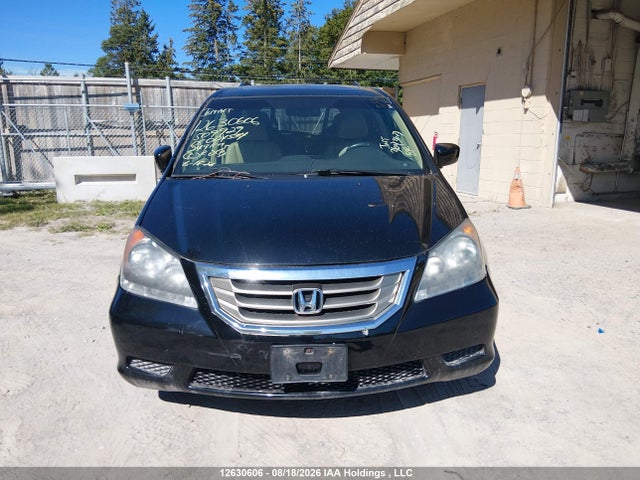 2008 Honda Odyssey მანქანა იყიდება აუქციონზე, vin: 5FNRL38788B509929, აუქციონის ნომერი: 12630606
