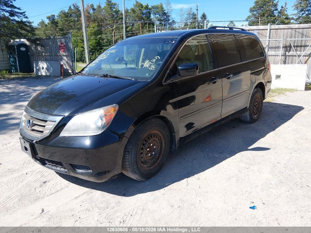 2008 Honda Odyssey მანქანა იყიდება აუქციონზე, vin: 5FNRL38788B509929, აუქციონის ნომერი: 12630606