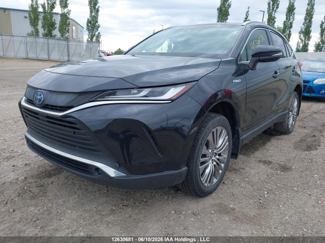 12630681 :رقم المزاد ، JTEAAAAH2MJ024517 vin ، 2021 Toyota Venza Le/xle/limited مزاد بيع