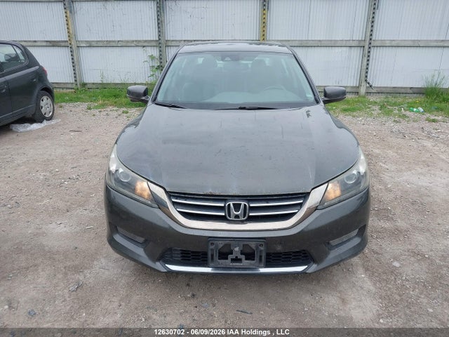 Продаж на аукціоні авто 2014 Honda Accord Exl, vin: 1HGCR2F82EA812317, номер лоту: 12630702