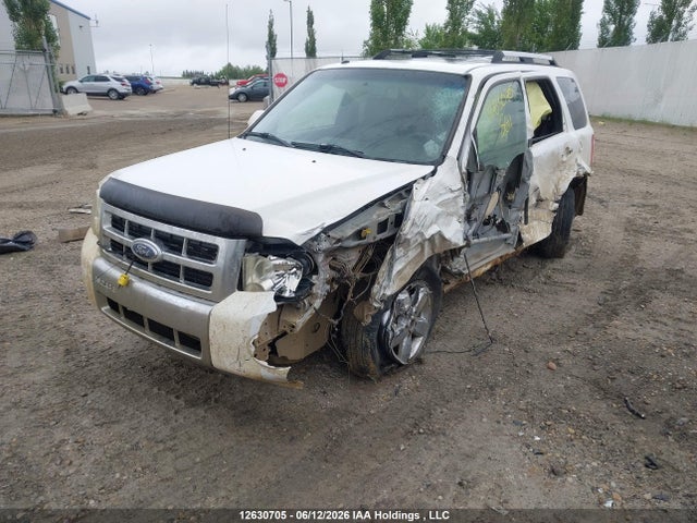 2008 Ford Escape Limited მანქანა იყიდება აუქციონზე, vin: 1FMCU94188KD04729, აუქციონის ნომერი: 12630705