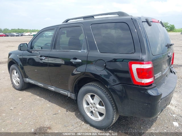 2010 Ford Escape Xlt Automatic მანქანა იყიდება აუქციონზე, vin: 1FMCU0DG7AKC02117, აუქციონის ნომერი: 12630733
