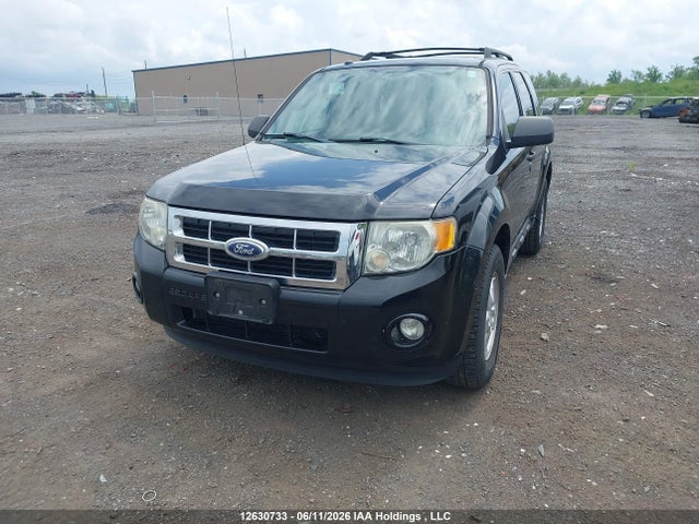2010 Ford Escape Xlt Automatic მანქანა იყიდება აუქციონზე, vin: 1FMCU0DG7AKC02117, აუქციონის ნომერი: 12630733