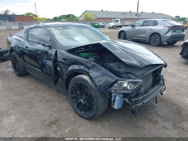 2014 1ZVBP8CF8E5216141 main image