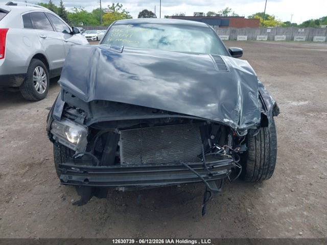 Продажа на аукционе авто 2014 Ford Mustang Gt, vin: 1ZVBP8CF8E5216141, номер лота: 12630739