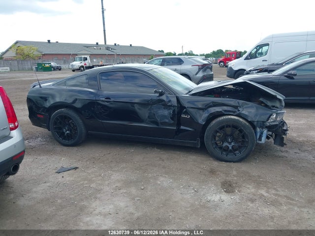 Продажа на аукционе авто 2014 Ford Mustang Gt, vin: 1ZVBP8CF8E5216141, номер лота: 12630739